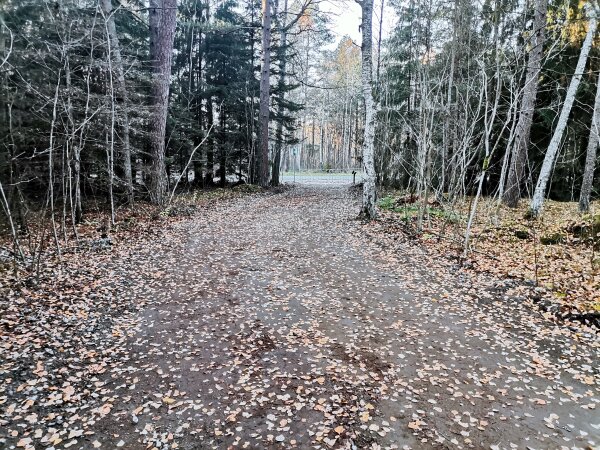 Įsibėgėja projekto „Kuršių nerija: paveldas bendruomenei ir pasauliui“ įgyvendinimas 