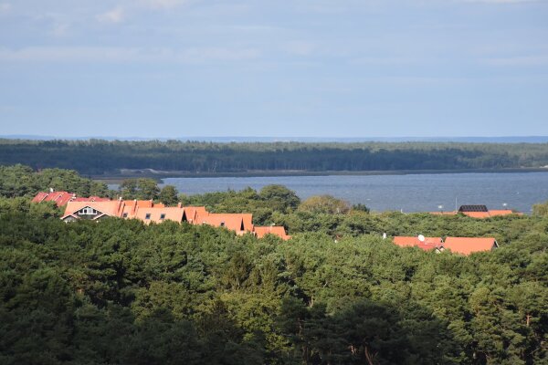 Informacija apie Gintaro įlankos teritorijos Juodkrantėje rytinės dalies detaliojo plano viešą...