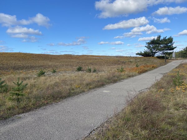 Rengiamasi Kuršių nerijos pėsčiųjų ir dviračių tako pirmų dviejų ruožų rekonstrukcijai