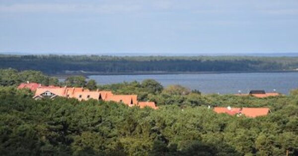 Skelbiama darbdavių, pageidaujančių dalyvauti užimtumo didinimo programoje, atranka