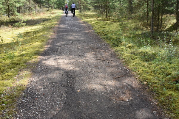 Tartasi dėl dviračių tako Smiltynė-Nida rekonstrukcijos