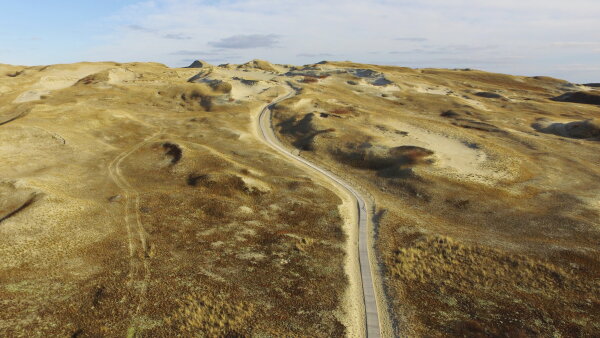 Naglių gamtinio rezervato pažintiniame take pradedamas lankytojų srautų reguliavimas