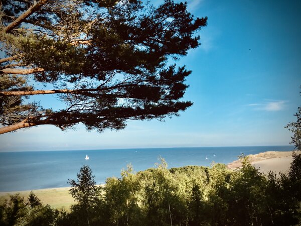 Šiandien Juodkrantėje Neringos meras susitikimo su gyventojais metu pristatys metinę veiklos...