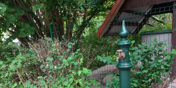 Nidos šulinys ir vėl sklidinas vandens 