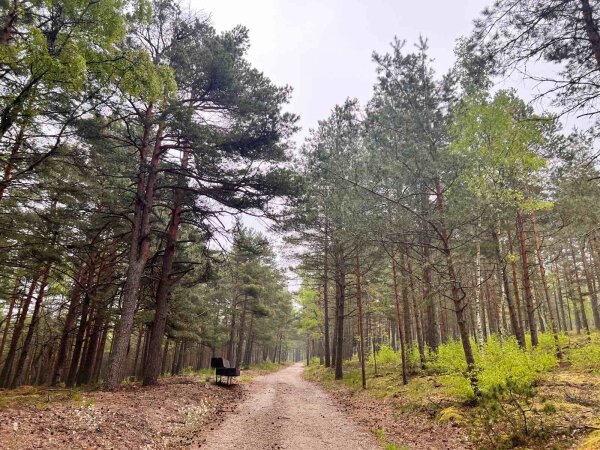 Informacija dėl nustatytų specialiųjų žemės naudojimo sąlygų 