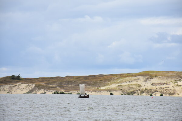 Priimamos paraiškos kultūros bei meno programų ir sričių projektų finansavimo savivaldybės...