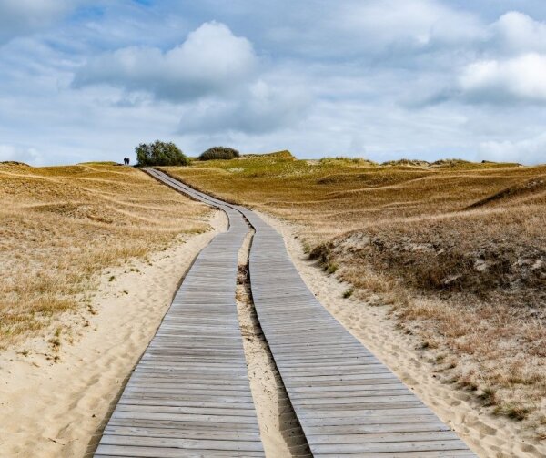 Dėl socialinės priežiūros šeimoms paslaugos akreditavimo