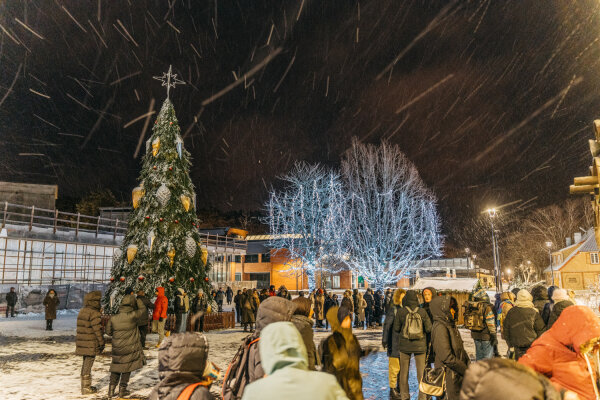Neringa solidarizuojasi su Ukraina - vienai valandai užges Nidos ir Juodkrantės eglių šviesos