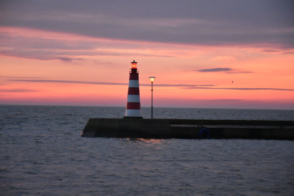 Pranešimas apie mokymus verslo naujokams