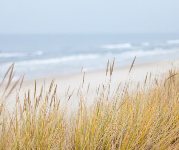 Informacija apie parengtą poveikio aplinkai vertinimo (PAV) ataskaitą ir viešą visuomenės...