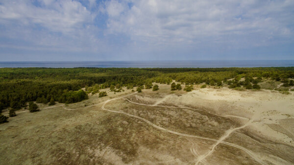 INFORMACINIS PRANEŠIMAS APIE PRADĖTĄ RENGTI NERINGOS SAVIVALDYBĖS ATLIEKŲ PREVENCIJOS IR TVARKYMO...