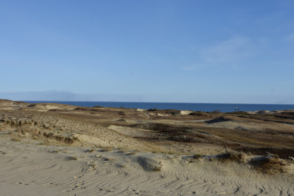 NMK rezidencijų programa: priimamos paraiškos Neringos savivaldybės stipendijai gauti