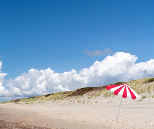 Nidos nudistų paplūdimiui – tarptautinis dėmesys 