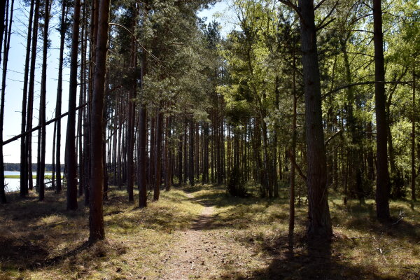 Visuomenė kviečiama susipažinti su baigiamu rengti Kretingos regioninio padalinio administruojamų...