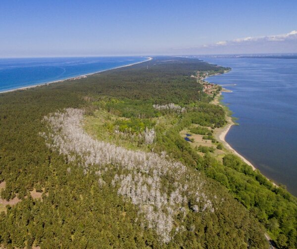 Informacija apie pratybas rugsėjo 19-21 dienomis