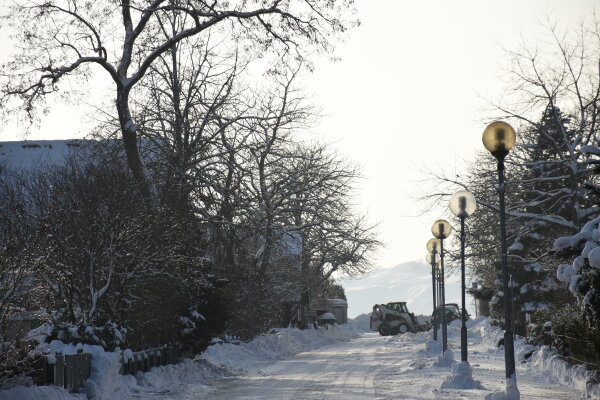 Sugedus barstytuvui - pirmenybė pėsčiųjų perėjoms ir sankryžoms 