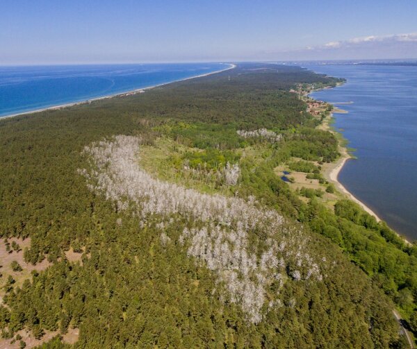 Informacija apie Kuršių nerijoje vyksiančias pratybas