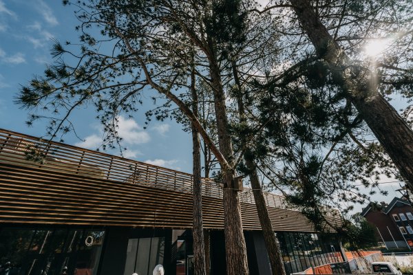 Skelbiamas patalpų kavinės veiklai vykdyti elektroninis viešas nuomos konkursas