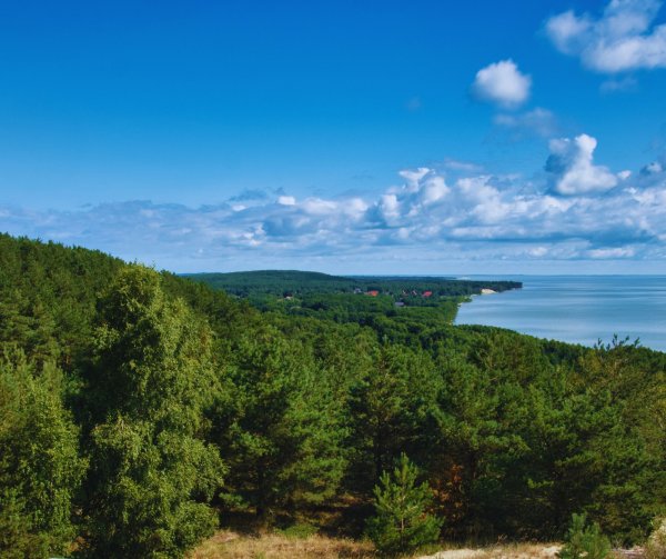 Karinio rengimo lauko taktikos pratybos: vasario 10-14 dienomis 