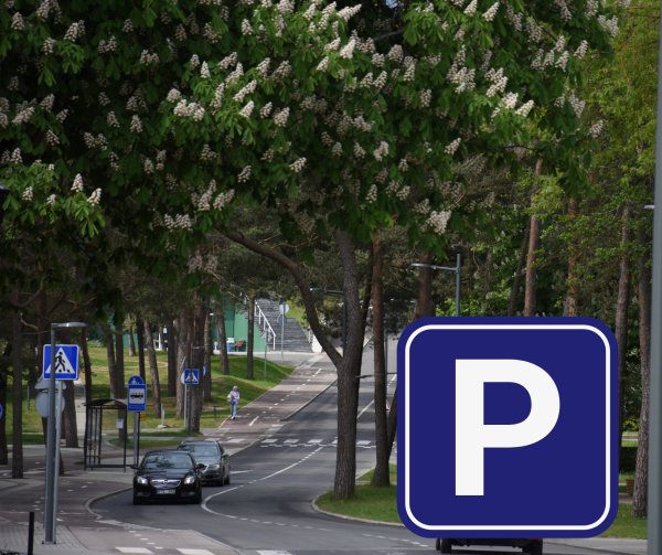 Automobilių parkavimas Nidoje: prasideda prašymų priėmimas Gyventojo leidimams gauti 