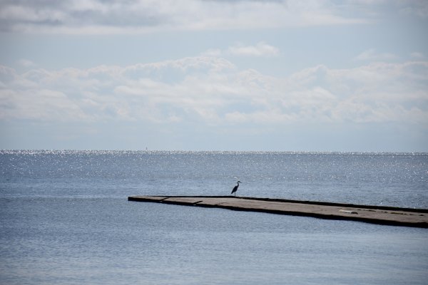 Kviečiame teikti paraiškas Rašytojo stipendijai laimėti
