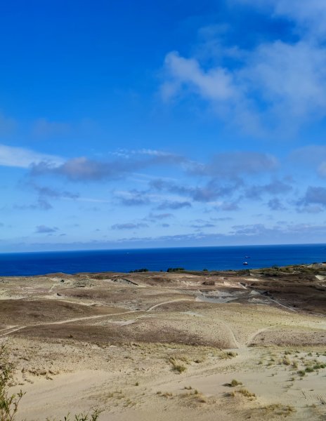 Ieškant sprendimų kartu: pokalbis apie renginių saugumą