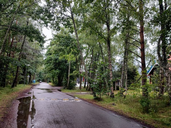 Prasideda E. A. Jonušo gatvės rekonstrukcijos darbai