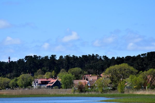 Įvažiavimas į Neringą – visą parą nemokamas 