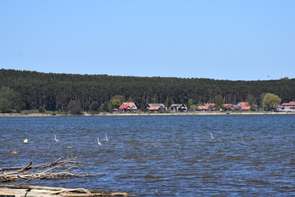 Fuzilierių bataliono būrys vykdys orientacinio žygio pratybas Preilos bei Pervalkos apylinkėse