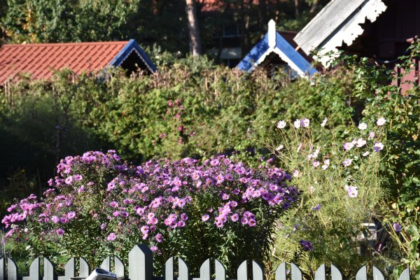 Sveikinimai Mokslo ir žinių dienos proga!