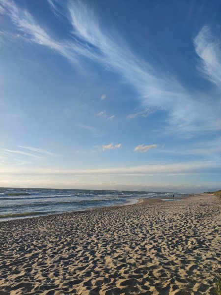 Skelbiamas aukcionas – parduodama žvejybos iškrovimo įranga Nidoje ir Juodkrantėje