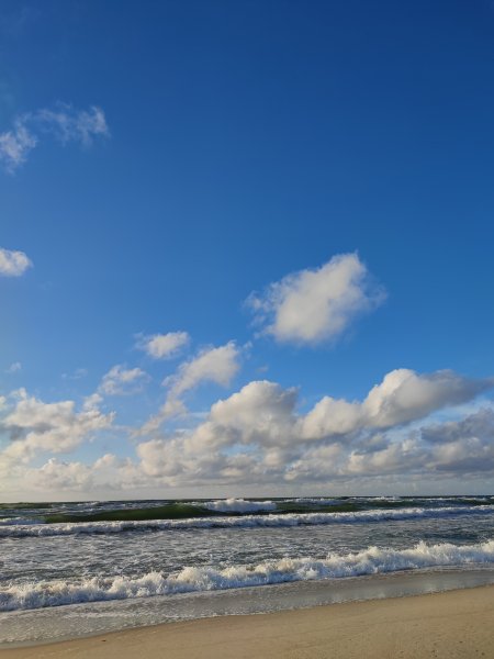 Vyks kovinio šaudymo pratybos netoli Žaliojo kelio g. 1