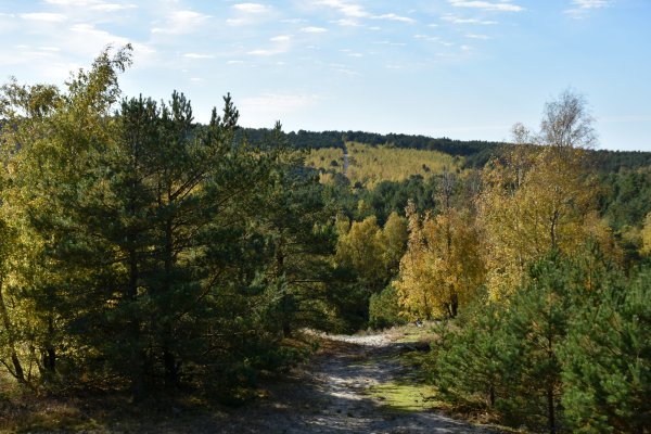 Lapkričio 12-13 dienomis vyks karinio rengimo lauko taktikos pratybos