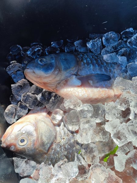 Informacinis renginys žuvininkystės produktų gamintojams