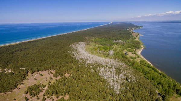 Dėl karinių pratybų – laikinas eismo ribojimas Nidos–Smiltynės plente (vasario 3 ir 4 dienomis)