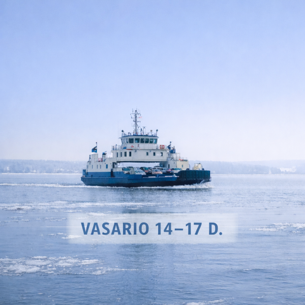 Vasario 14–17 d. bus atnaujinamos „Regitros“ duomenų  bazės – galimi laikini AB „Smiltynės...
