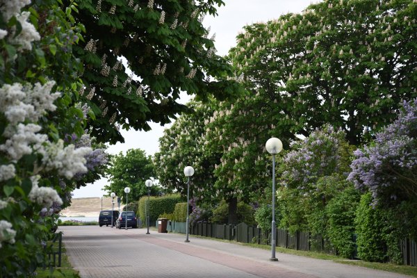 Vasaros sezonas įsibėgėja: metas pasirūpinti savo aplinka
