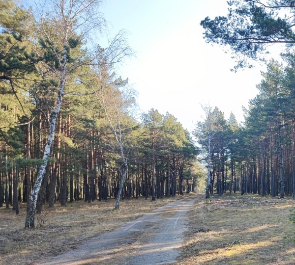 Lauko taktikos pratybos Kuršių nerijoje: spalio 13-25 dienomis
